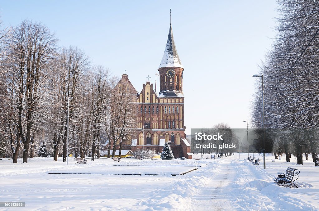 Cathédrale de Kant - Photo de Kaliningrad libre de droits