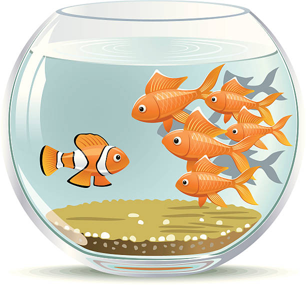 illustrazioni stock, clip art, cartoni animati e icone di tendenza di nuovo arrivato - friendship new fishbowl isolated on white