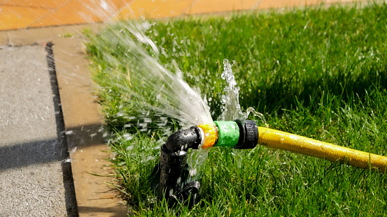 Closeup of water leaking and flowing on green grass lawn through damaged hose pipe. Water waste, garden equipment, gardening
