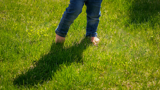 Closeup of barefoot baby in jeans walking on green grass lawn. Kids outdoors, children in nature, baby playing outside