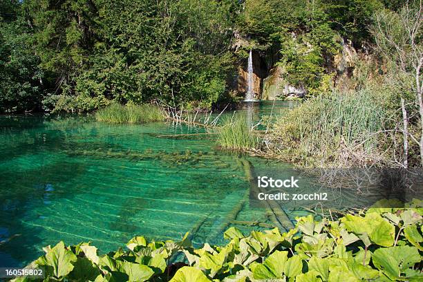 Park Narodowy Plitwickich - zdjęcia stockowe i więcej obrazów Bez ludzi - Bez ludzi, Chorwacja, Cud natury