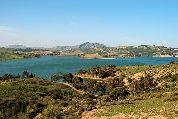 istock Guadalteba lake, Andalusia, Spain. 160515823