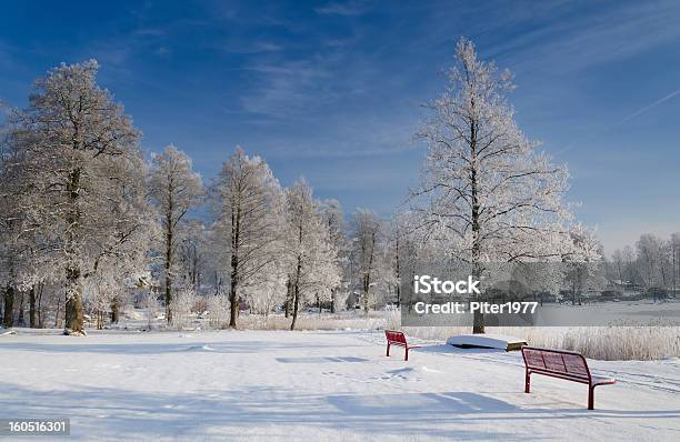 Frosty Giorno Paesaggio - Fotografie stock e altre immagini di Albero - Albero, Ambientazione esterna, Ambientazione tranquilla