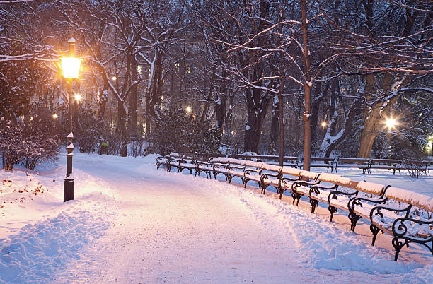 istock Vienna - Stadtpark in winter morning 160516480