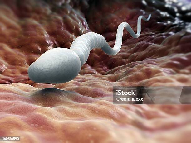Male Sperm Cell Stock Photo - Download Image Now - Sperm, Fallopian Tube, Biological Cell