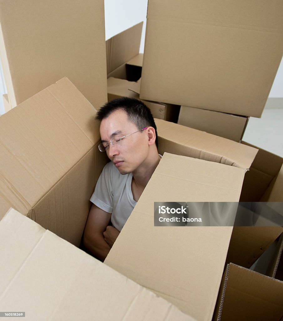 Durmiendo en el interior de la caja - Foto de stock de Caja de cartón libre de derechos