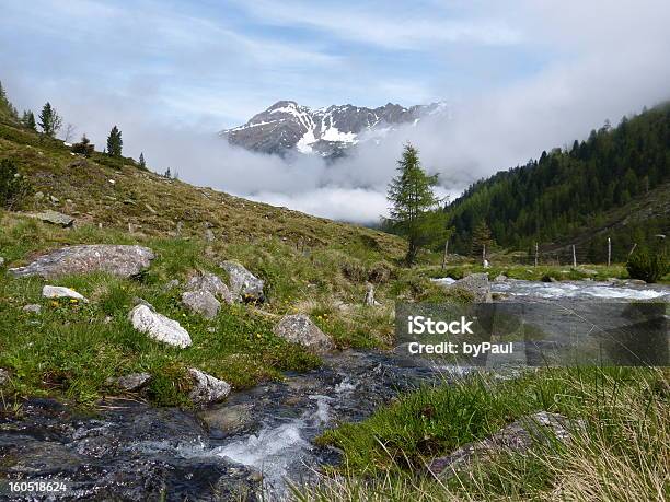 Rio Nos Alpes - Fotografias de stock e mais imagens de Abeto - Abeto, Alpes Europeus, Ao Ar Livre