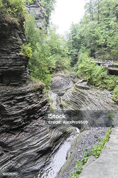 Watkins Glen Canyon Stockfoto und mehr Bilder von Baum - Baum, Bundesstaat New York, Canyon