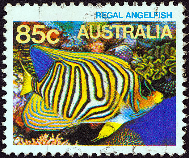 istock Australian stamp shows a Royal angelfish (1984) 160519777