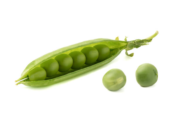 istock Open pod of peas with ripe peas on a white background. 1605198592