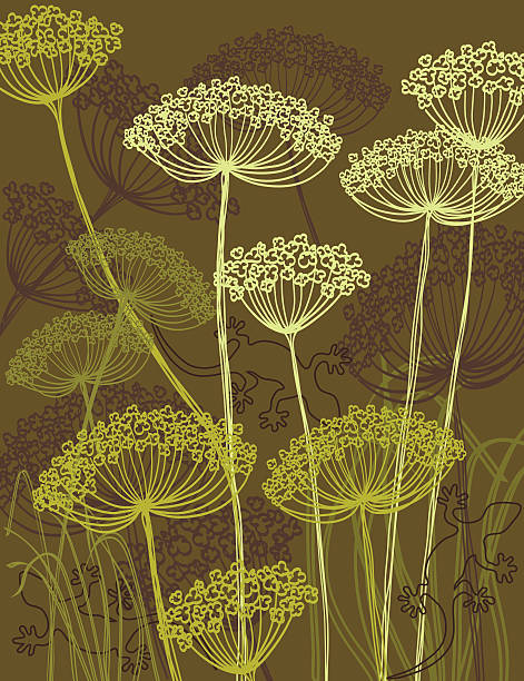 Wild carrot vector art illustration