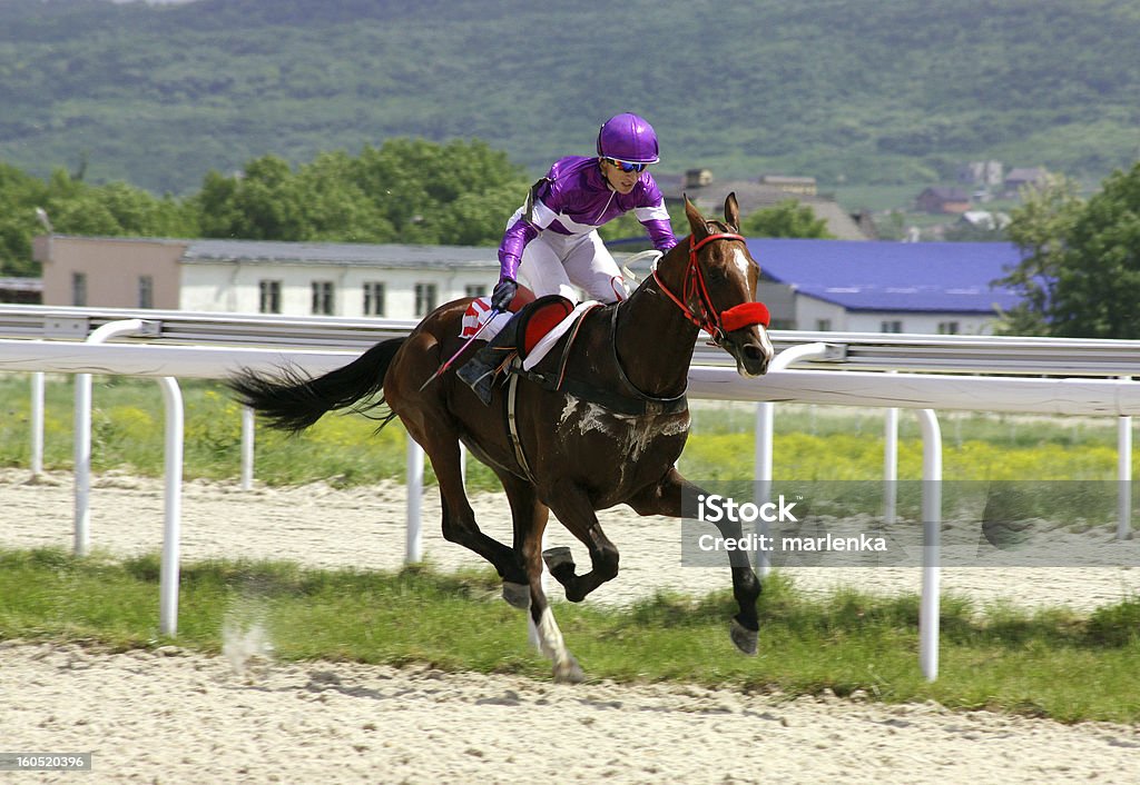 leader. Action shot of jockeys in horse race. Jockey Stock Photo