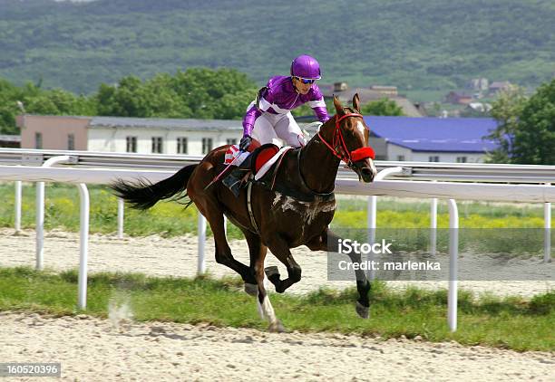 Leader Stock Photo - Download Image Now - Jockey, Steeplechasing - Horse Racing, One Animal