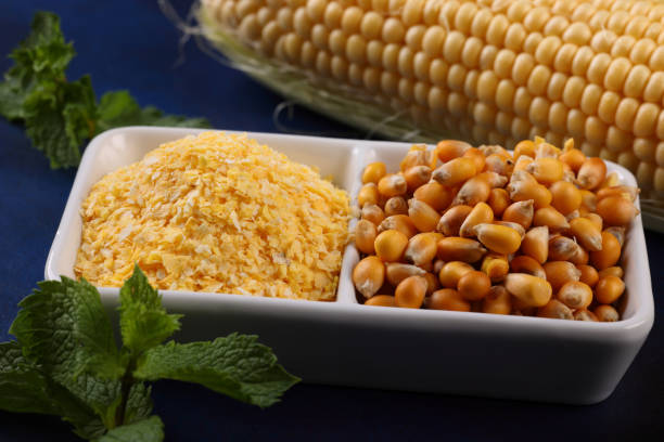 épi de maïs - corn on the cob macro corn crop freshness photos et images de collection