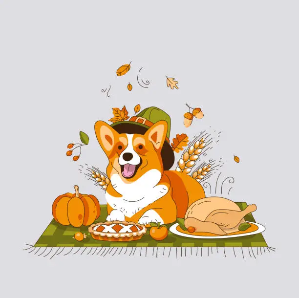 Vector illustration of A Corgi Dog in a Hat is lying on a Blanket. Thanksgiving Day Picnic. Vector illustration.