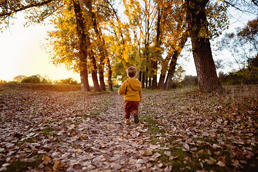 Little boy enjoying a carefree autumn day in nature.