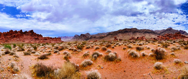 Valley of Fire in Nevada Panorama View of the Valley of Fire in Nevada nevada landscape stock pictures, royalty-free photos & images