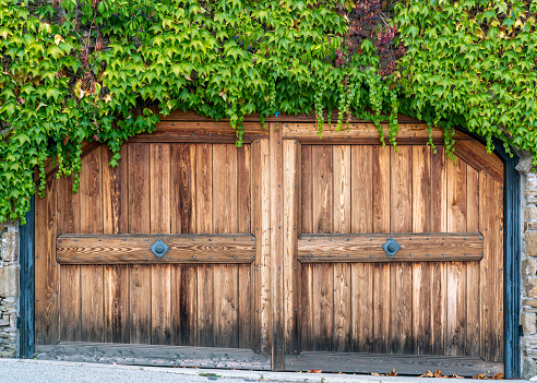 Massive wooden double-wing gate being overgrown by dropping ivy vines