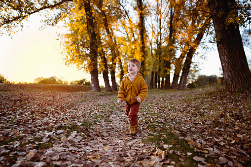 Little boy enjoying a carefree autumn day in nature.