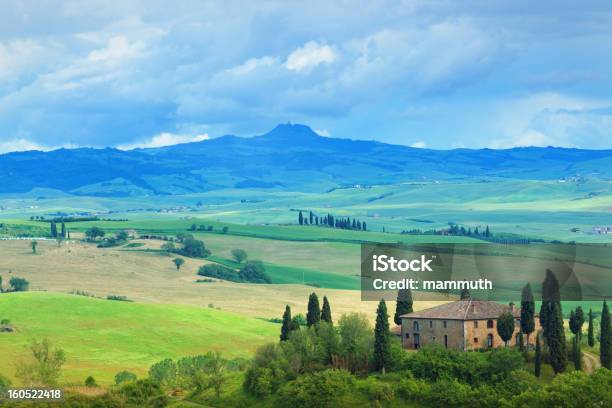 Farm Na Toscana - Fotografias de stock e mais imagens de Agricultura - Agricultura, Ajardinado, Ao Ar Livre