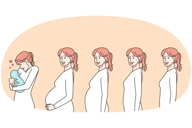 Vector illustration of Stages of woman pregnancy