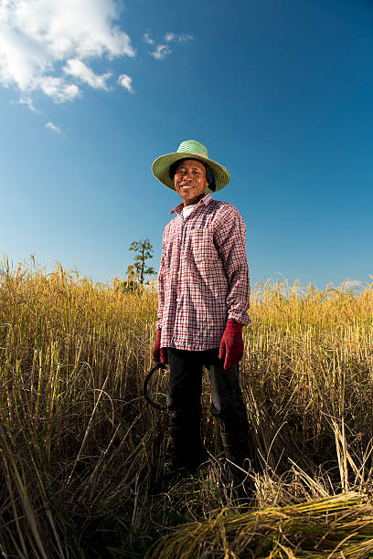 portrait of a rice farmer