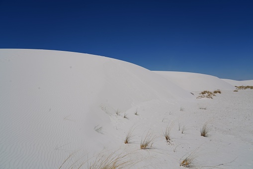 The pristine white sand dunes of the desert stretch for miles, creating a unique and breathtaking landscape