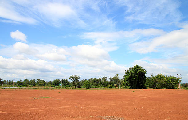 istock Landscape of Bare Earth and tree 160525463