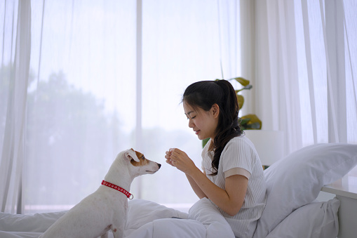 Young woman play with her dog at home. Daily life and pet love concept.