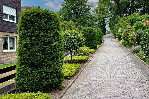 Brick walkway between two hedges and brick walkway in front of house in Germany.