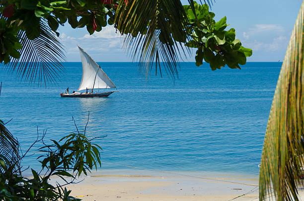 Sailing boat passing an empty beach viewd trough palm trees