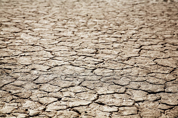 Dried earth stock photo