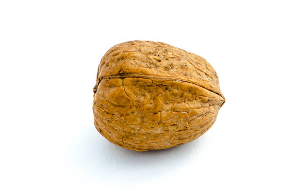 Single walnut on white background stock photo