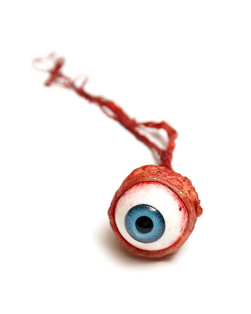 istock Graphic image of an eyeball with veins and muscles attached 160527972