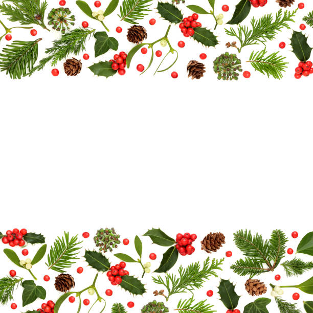 istock Christmas Winter Holly and Flora Background Border 1605286554