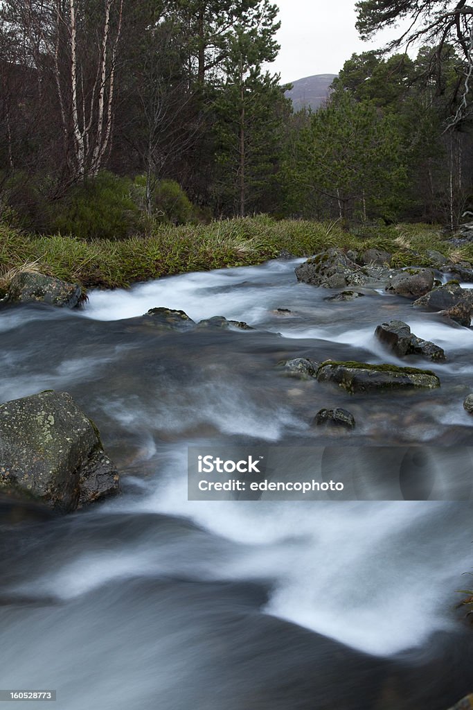 Ruisseau de montagne Highlands écossais - Photo de Bois libre de droits