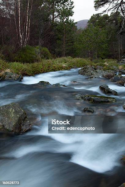 Photo libre de droit de Ruisseau De Montagne Highlands Écossais banque d'images et plus d'images libres de droit de Bois - Bois, Eau, Eau vive
