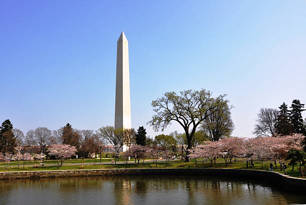 istock Washington Monument and capital pond. 160529528