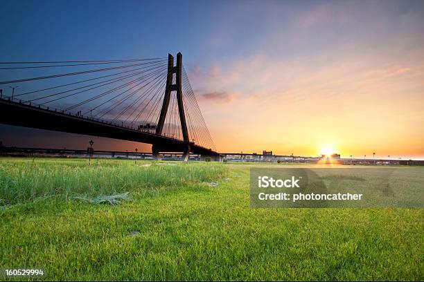 Ponte Ao Pôr Do Sol Com - Fotografias de stock e mais imagens de Acender - Acender, Admirar a Vista, Ajardinado