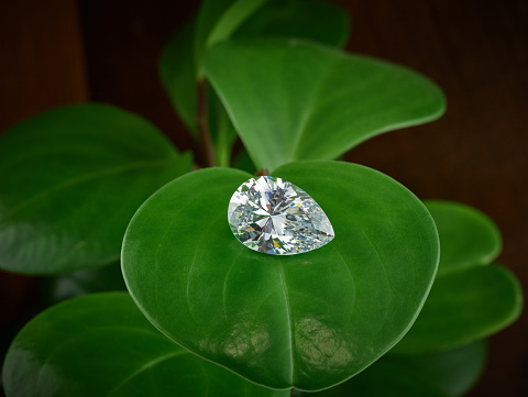 Ethical lab-grown diamond, pear-shaped diamond on green leaf background. Ethical fashion sustainable responsible photograph for jewellery industry.