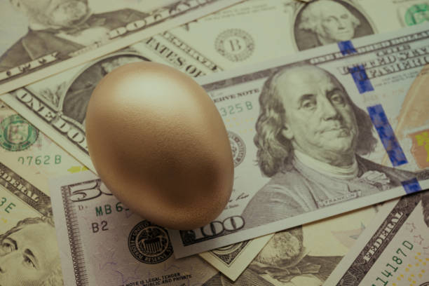 istock Bright golden egg on US dollar bill cash banknotes background. 1605314288