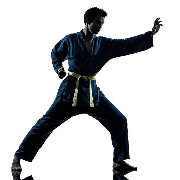 istock karate vietvodao martial arts man silhouette 160532134