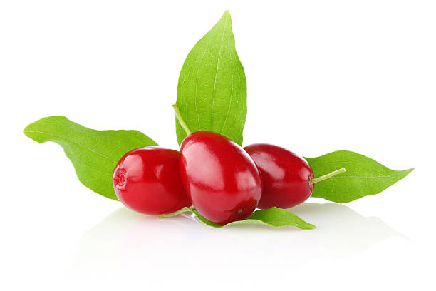 istock ripe juicy cornel with green leaf 160532167