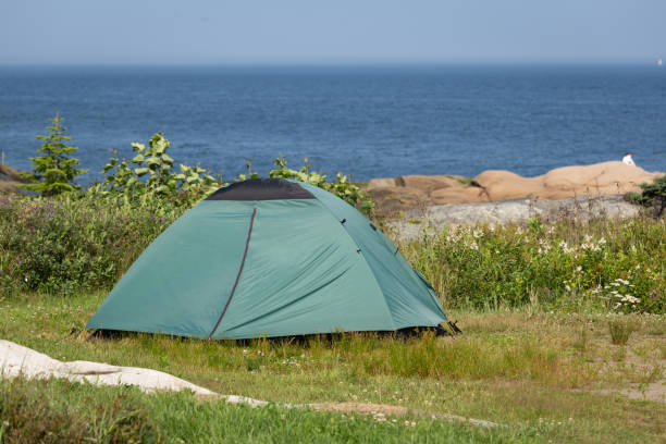 Wild Camping with Sea View Tent behind St-Lawrence river in Summer north quebec stock pictures, royalty-free photos & images