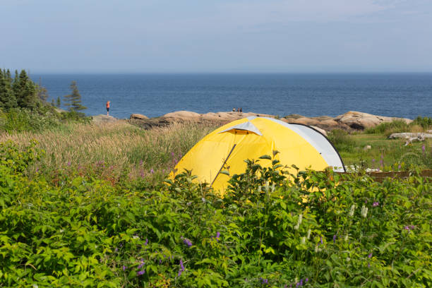Wild Camping with Sea View Tent behind St-Lawrence river in Summer north quebec stock pictures, royalty-free photos & images