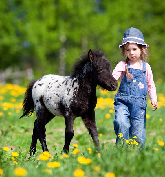 istock Foal and child in a field. 160533707