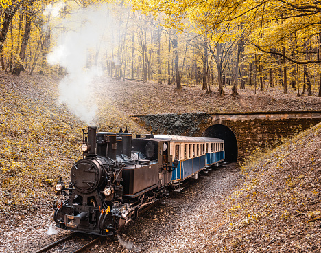Narrow Gauge Steam Train Appears from a Tunnel, Budapest, Hungary.