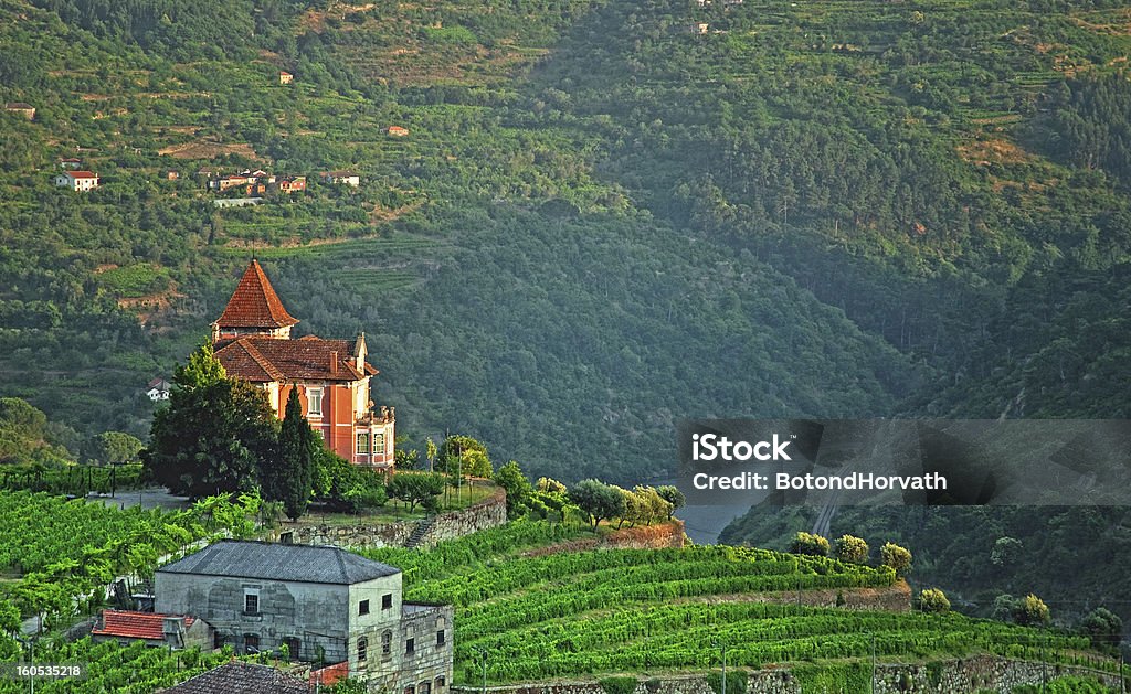 Vallée du Douro au Portugal - Photo de Vallée du Douro libre de droits