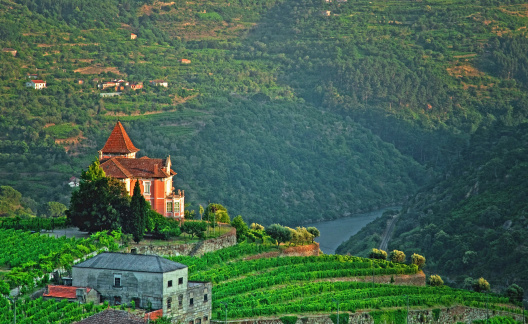 Nice house in the Douro Valley in Portugal