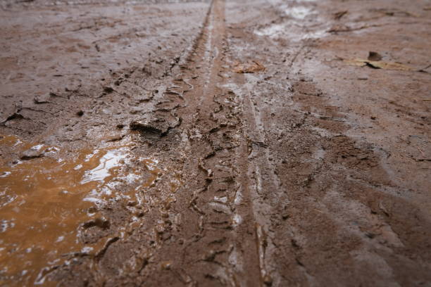 istock Tire tracks on the ground. red sand area 1605356067